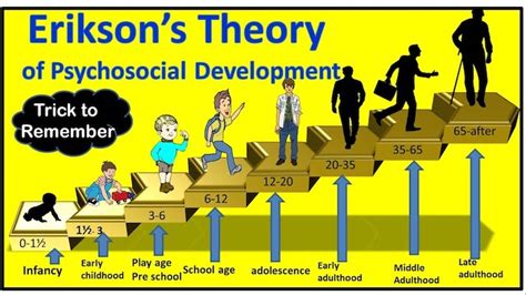Erikson S Psychosocial Development Stages