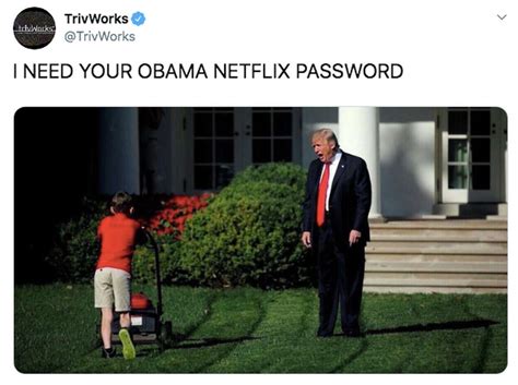 Trumps Obama Netflix Tweet Backfires As Social Media Has A Field Day