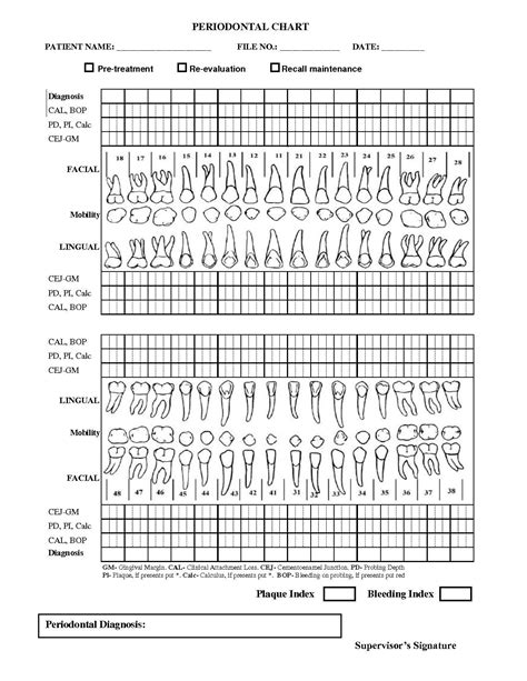 Blank Periodontal Chart