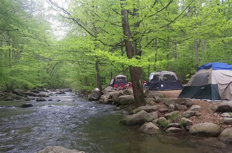 5 Secluded Campgrounds In Virginia For A Peaceful Overnight