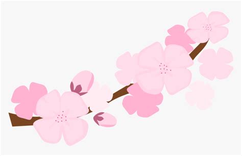 Cartoon Sakura Flower Png Beautiful Flowers Download