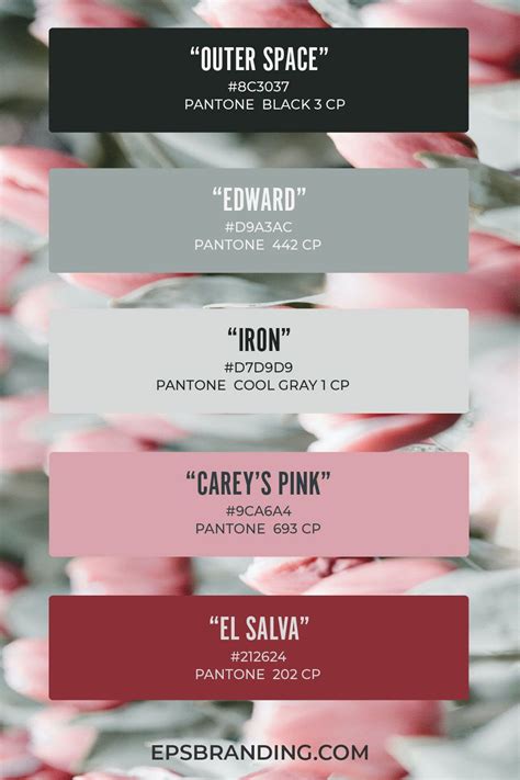Beautiful Pink Color Palettes For Your Next Designs Color Palette