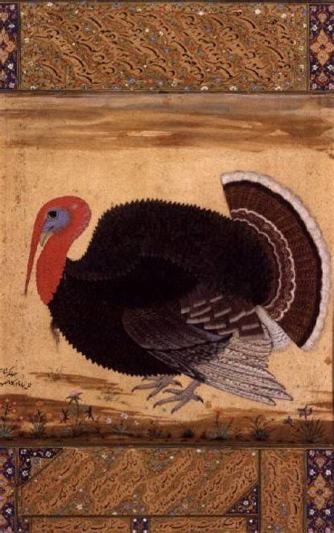 A Turkey Cock Brought To Jahangir From Mansur Als Kunstdruk Of Als