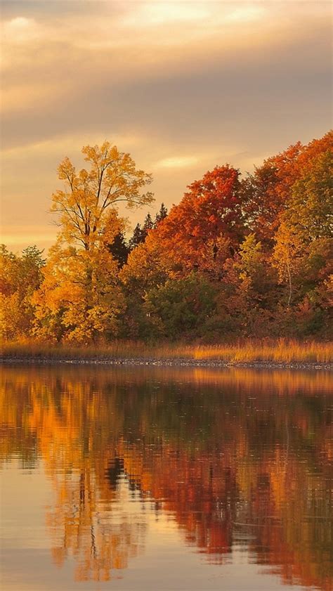 Wallpaper Dusk Autumn Forest Lake Water Reflection 1920x1200 Hd