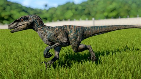 Velociraptor Jurassic World Evolution Wiki Fandom Velociraptor