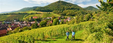 Wandern In Pleisweiler Oberhofen Die Schönsten Touren Der Region