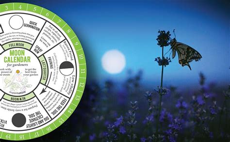 Moon Calendar For Gardeners Garden In Harmony With Phases