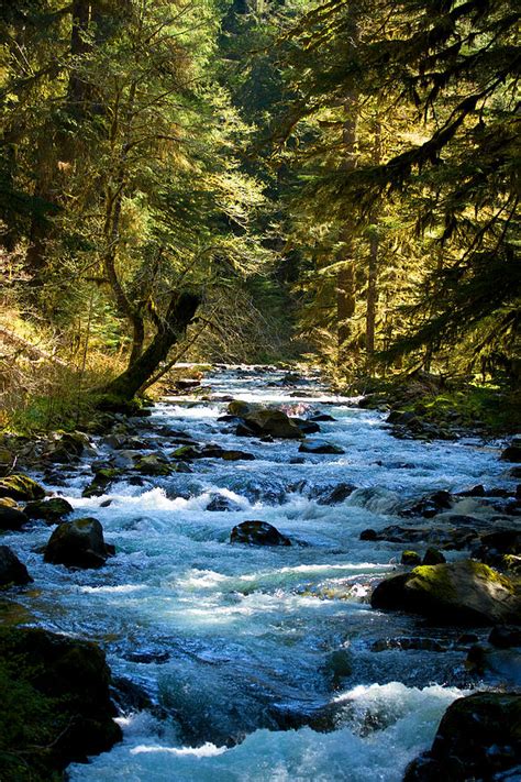 Sol Duc River Above The Falls Washington Photograph By Marie Jamieson