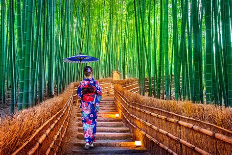 Cinco Formas De Explorar El Mundialmente Famoso Bosque De Bambú De
