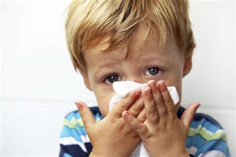 Achoo What To Do About Environmental Allergies In Child Care