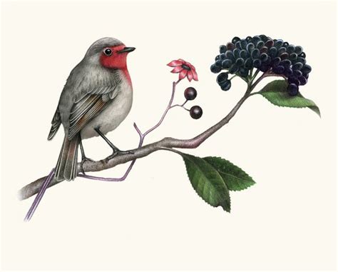 Birds Nature Colors Bird Drawings Bird Animation Animated Aesthetic