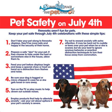 How Do I Keep My Dog Safe During Fireworks