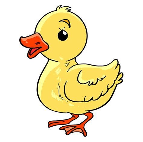 You will see that it is easy to do that using the method of gradual drawing. How to Draw a Baby Duck - Really Easy Drawing Tutorial