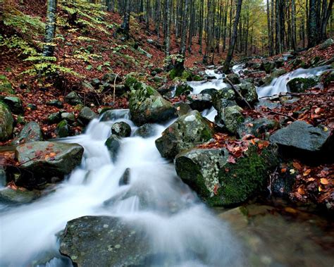 Mountain Stream In Autumn Gray Rocks With Green Moss Ground Covered