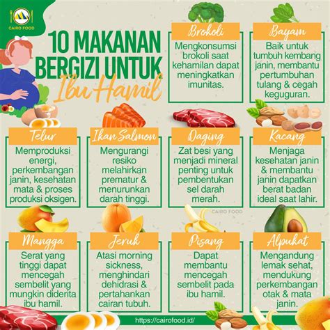 10 Makanan Bergizi Yang Baik Untuk Ibu Hamil Cairo Food