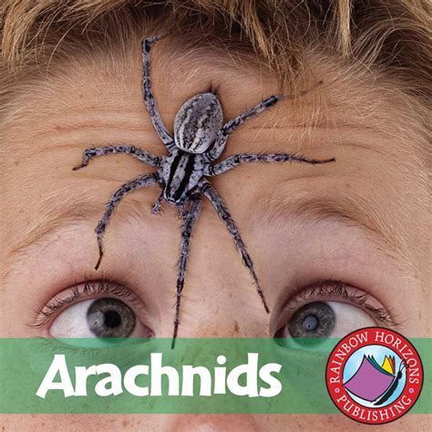 Arachnids Grades 1 To 2 Ebook Lesson Plan Rainbow Horizons