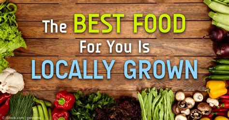 The Good Food Movement Increasing Healthy Locally Grown Food