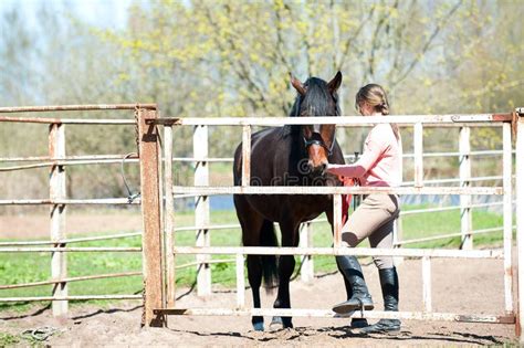 Young Teenage Girl With Her Brown Horse In Corral Stock Image Image