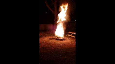 Burning Pine Tree Youtube