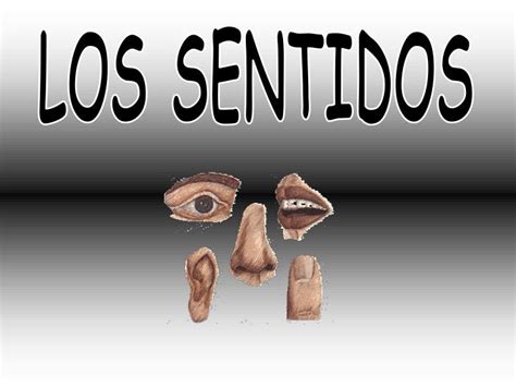 Ppt Los Sentidos Powerpoint Presentation Free Download Id530420