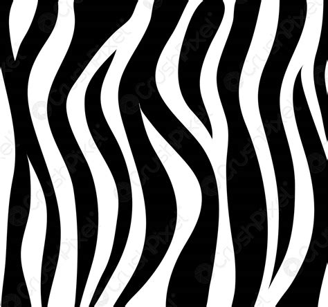 Zebra Stripes Background