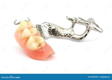 Removable Partial Denture On White Background Royalty Free Stock Image