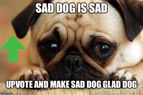 Sad Dog Imgflip