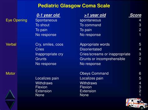 Pediatric Glasgow Coma Scale Perrush