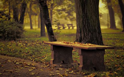 259 Bench Hd Wallpapers Background Images Wallpaper Abyss Page 5
