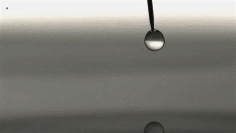 Surface Tension Droplets Roddlysatisfying