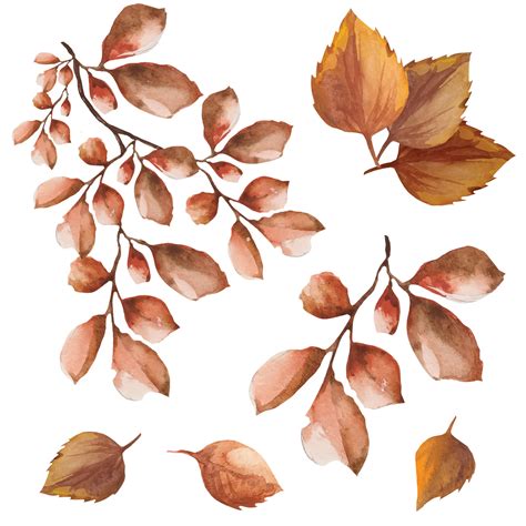 Set Of Dead Leaves On A Branch Autumn Dry Leaves Watercolor