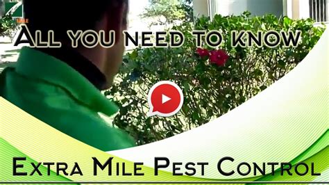 Learn more about how safer home services can keep you pest free for the entire year with one simple annual service. Extra Mile Pest Control and Lawn Solutions Boca Raton ...
