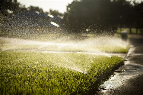 Depending on the size of the plant, the water may never actually hit the ground because the foliage may overshadow the plant's base. How to Tell if Your Sprinkler System Isn't Working Properly (and What to Do About it)