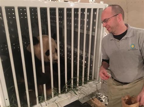 Giant Panda Bao Bao Arrives Safely In China