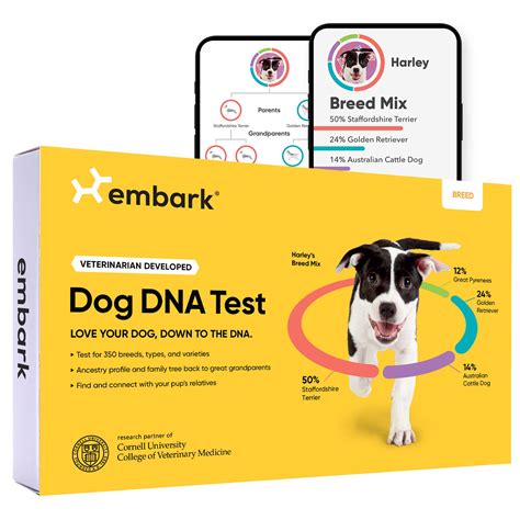Buy Embark Breed Identification Kit Most Accurate Dog Test Test 350