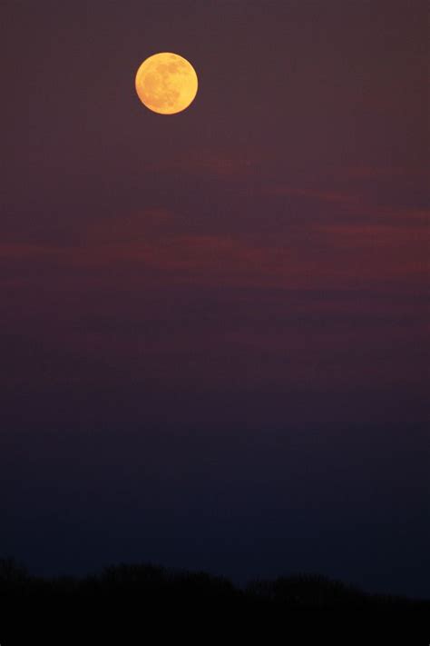 Purple Sky Full Moon Purple Sky Science And Nature