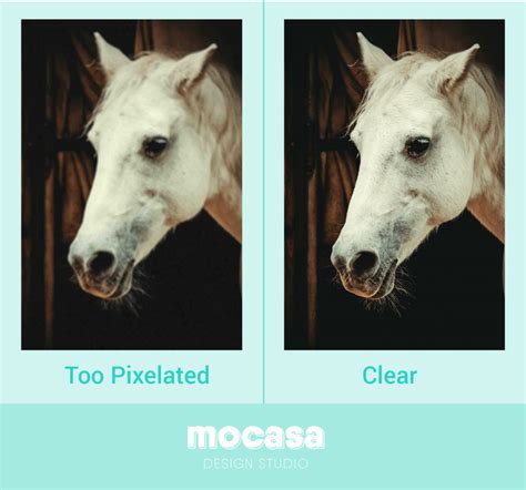 Your Brand Identity Images Mocasa Design Studio