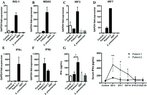 Innate Immune Response Against Mers Cov Requires Ifna Expression