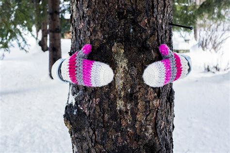 One Woman Behind A Pine Trunk Hugging It With Warm And Colorful Knitted