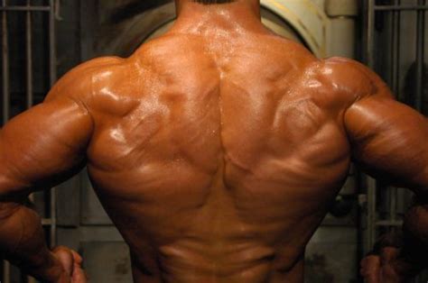 Best Natural Back Jim Cordova Bodybuilding Fitness Inspiration Physique