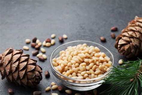 13 Health Benefits Of Eating Pine Nuts Chilgoza On Your Mind And Body