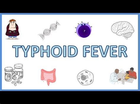 Typhoid Fever Causes Pathogenesis Signs And Symptoms Diagnosis