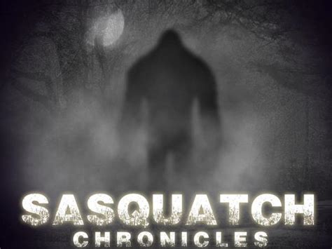 Sc Ep56 Sasquatch Looking In The Window 1022 By Bigfoot Hotspot Science