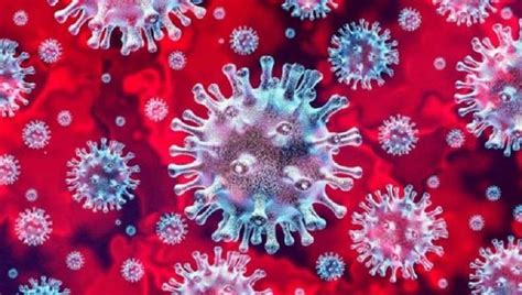 Dec 17, 2020 · corona academy online. Corona virus | Apotheek De Drie Stellingen