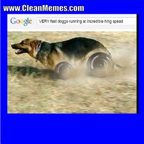 Clean Memes Page 191 The Best And Most Clean Memes Online