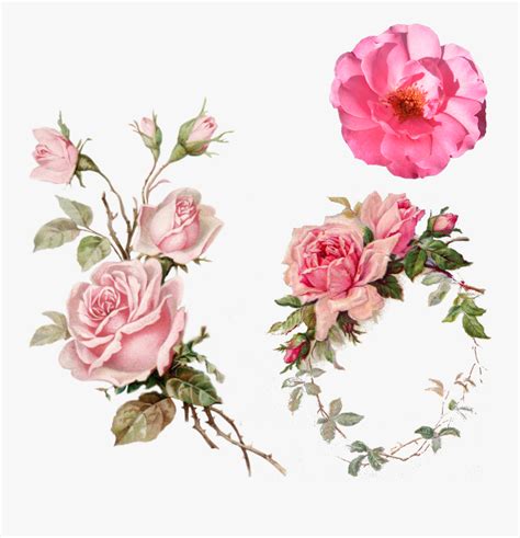 Vintage Floral Rose Clipart Png 10 Free Cliparts Download Images On