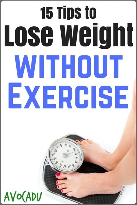 15 Tips To Help You Lose Weight Without Exercise Avocadu
