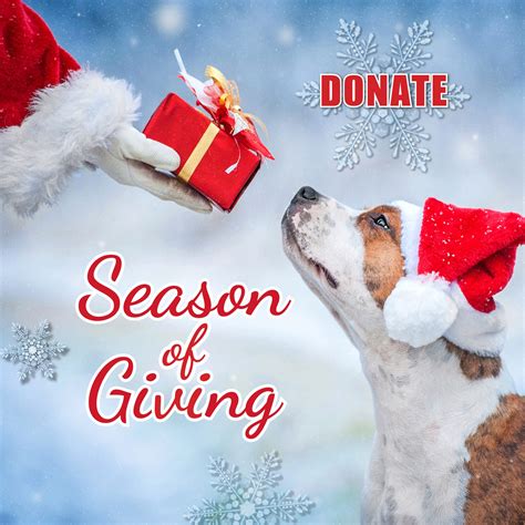 2022 Season Of Giving! - Homeward Bound Pets Humane Society