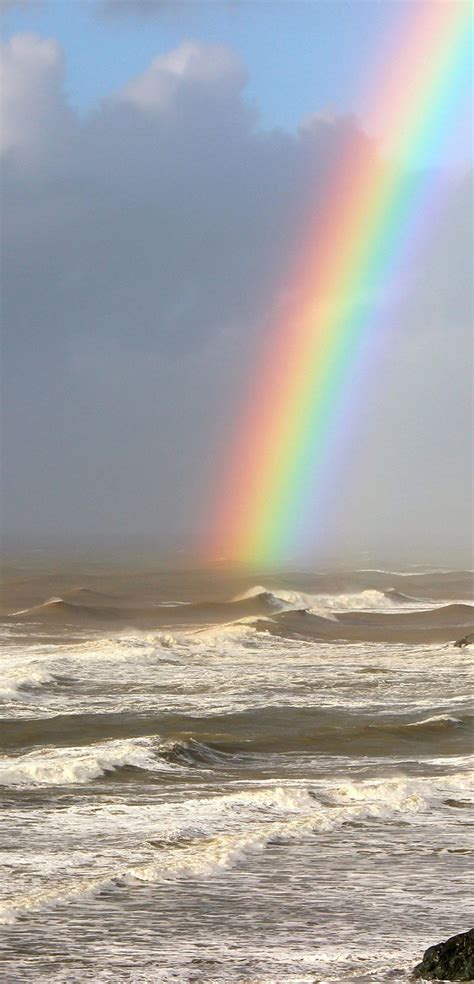 Rainbow On Sea Wallpaper 1080x2244