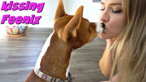 My Dog Kissing Me For 1 Minute Straight Youtube